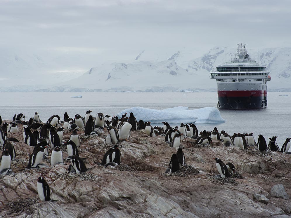 ビストロ・レミディオスの小蟹フリット
