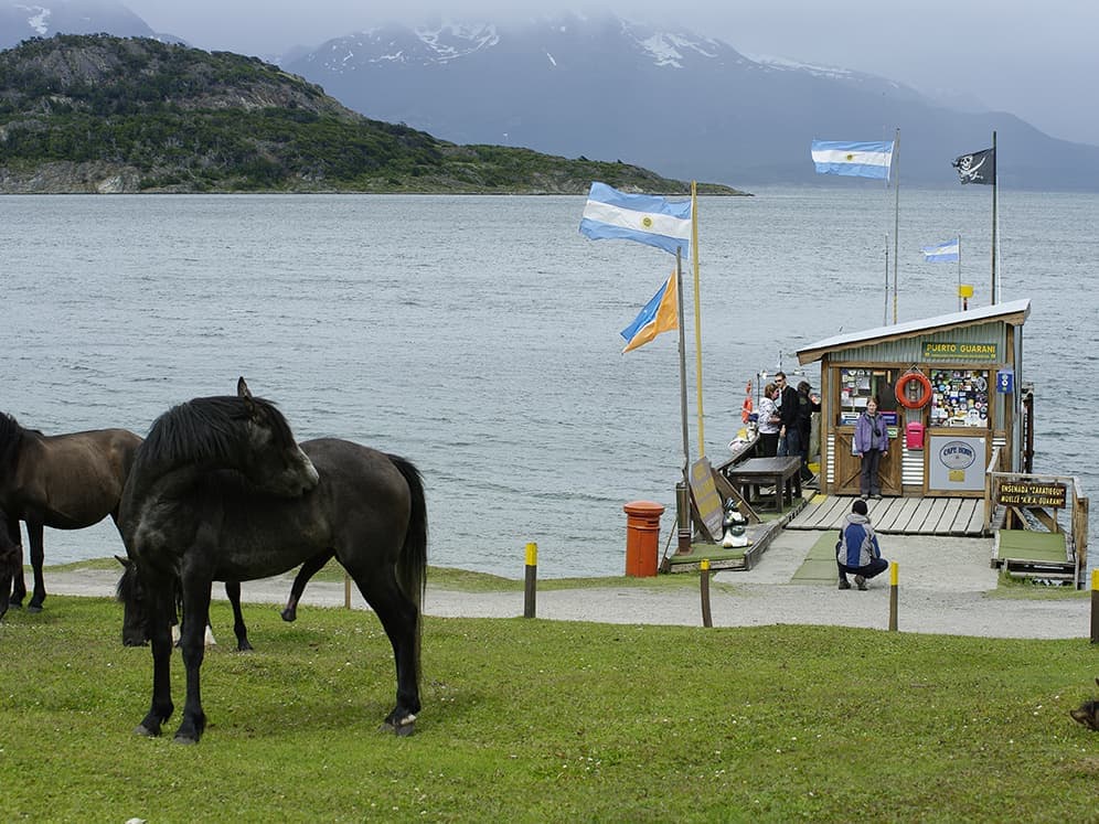 ビストロ・レミディオスの小蟹フリット